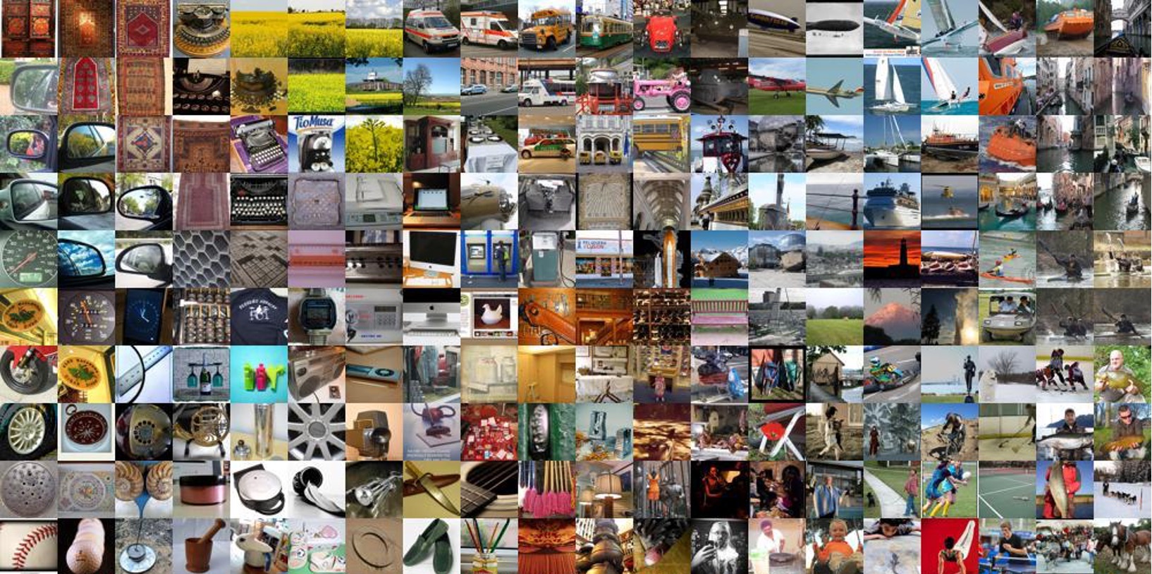 ImageNet sample Images